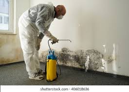 Why You Should Choose Our Mold Remediation Services in Pitcairn, PA